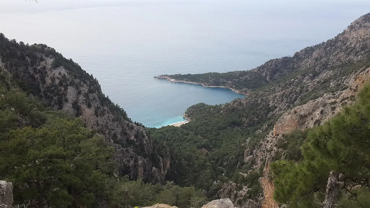 Muğla kıyısında çam ormanları arasında bir koy
